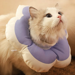 Cotton Neck Pet Collar
