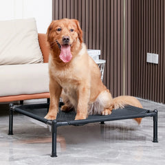 Elevated Pet Bed