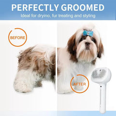 Pet Steam Spray Comb